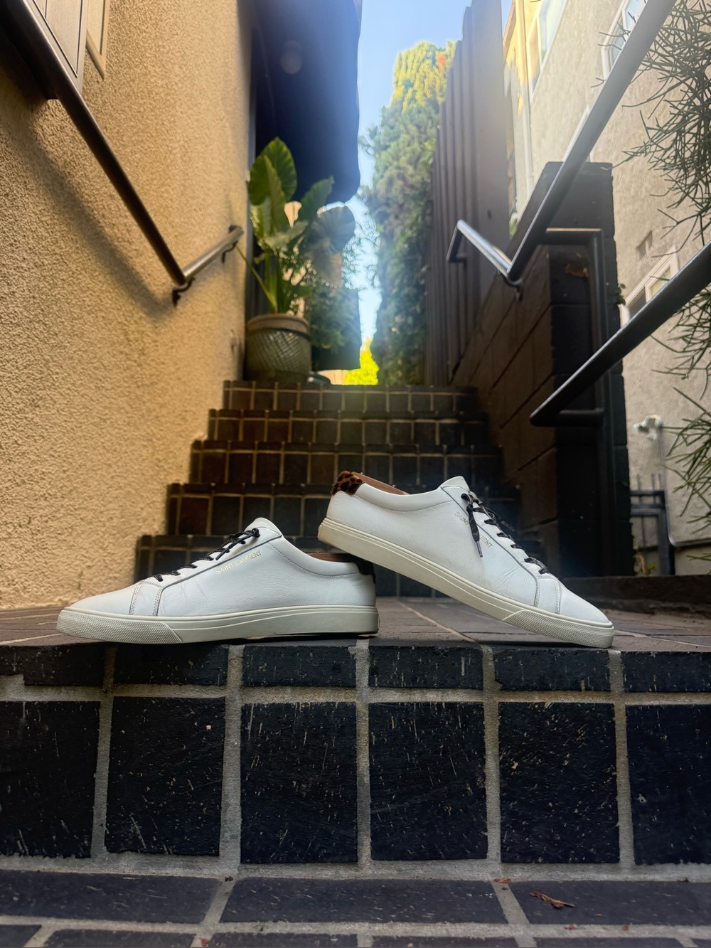 Saint Laurent Men’s Andy Low-top Court Shoes (White, Men’s US9/IT42)